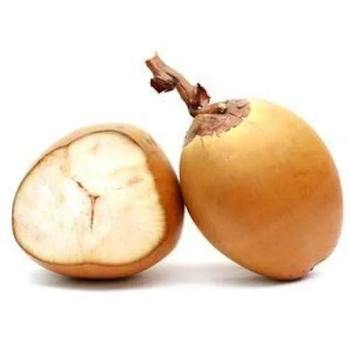 Tender Coconut - Red