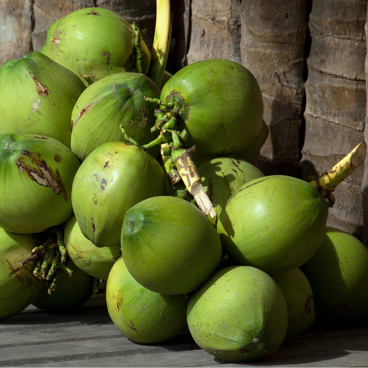 Tender Coconut
