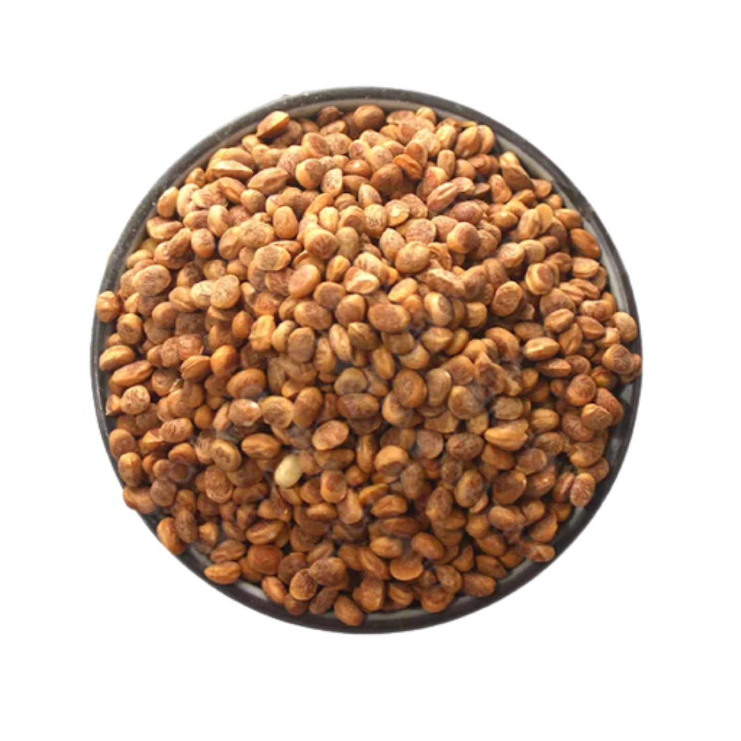 Sara Seed