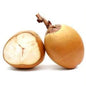 Tender Coconut - Red
